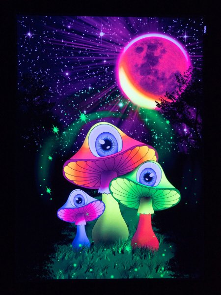 Psywork Schwarzlicht Stoffposter Neon Redmoon Mushrooms 1 0x1 4m Poster Goa Ebay